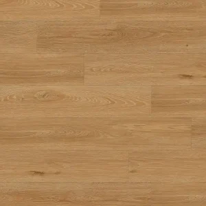 Creation 55 Clic Acoustic I Aquinoah Honey 1706 Mega-Angebot